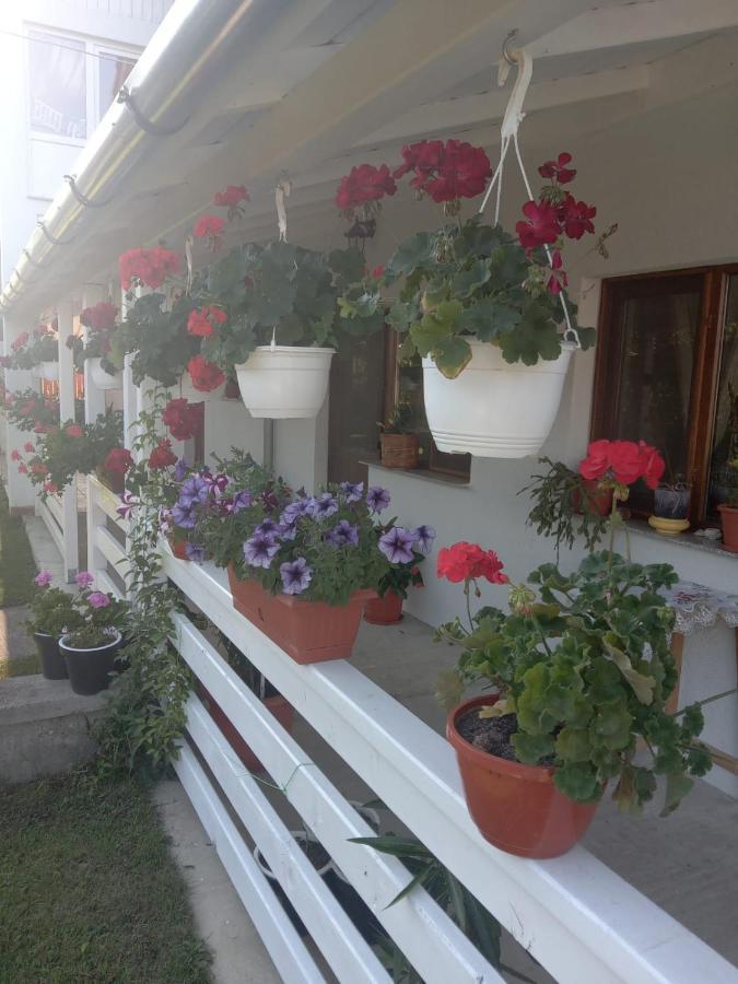 Hotel Cazare Turism Prislop Haţeg Zewnętrze zdjęcie
