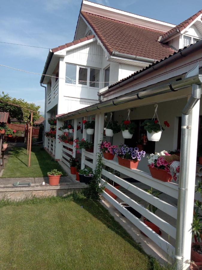 Hotel Cazare Turism Prislop Haţeg Zewnętrze zdjęcie